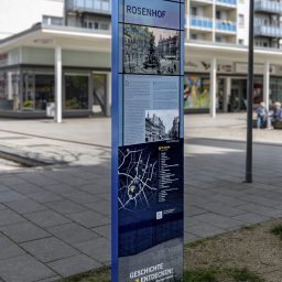 Stele Regulus Rosenhof