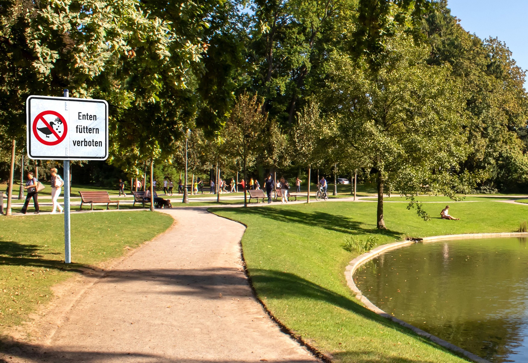 Verbotsklappschild „Enten füttern verboten“ im Park am Teich – Hinweisschild für Grünanlagen und Naturschutz
