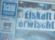 Dekoratives Bild der Schild-Zeitung in Eisoptik.